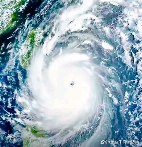 魔蝎台风，魔蝎台风登陆！广东多地遭受狂风暴雨袭击