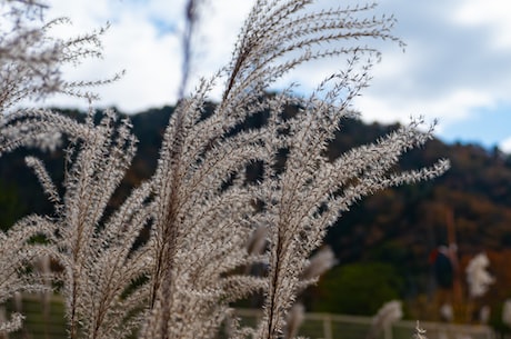 除甲醛前十名(除甲醛前十名，这些品牌必须知道！)