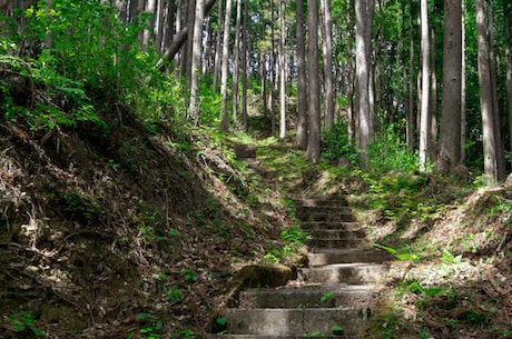 分光光度计原理(分光光度计原理及应用介绍)