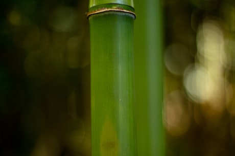 麻将有多少张牌?(探秘麻将有多少张牌?)