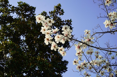 康平卧龙湖(康平卧龙湖：探寻中国四季美景)