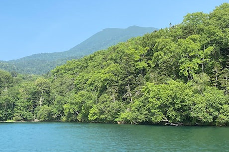 辛集房屋出租 确立居住权后