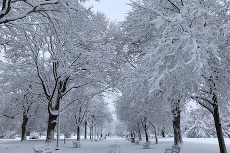 降雪量(中国降雪量已经正式开始！)