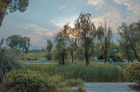 阴阳师荒(阴阳师荒忆：那些被忽视而美好的遭遇)