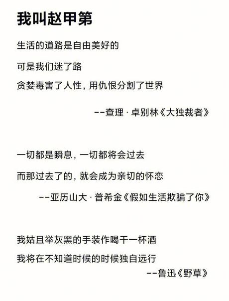 我叫赵甲第原著小说，原著小说《我叫赵甲第》是一部令人眼前一亮的文学作品