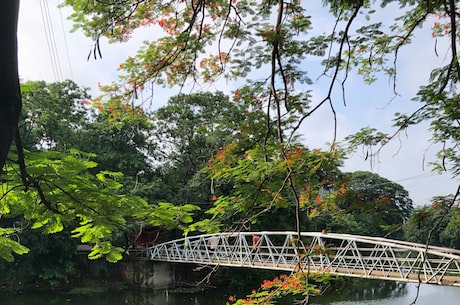 除甲醛前十名(除甲醛前十名，这些品牌必须知道！)