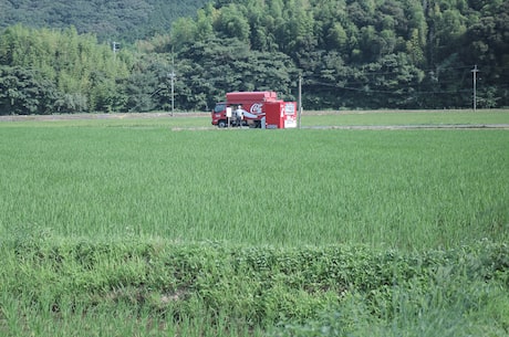 川航空姐(川航空姐：飞翔在蓝天上的骄傲)