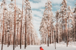 北大壶滑雪场(北大壶滑雪场：畅享冬日狂欢)